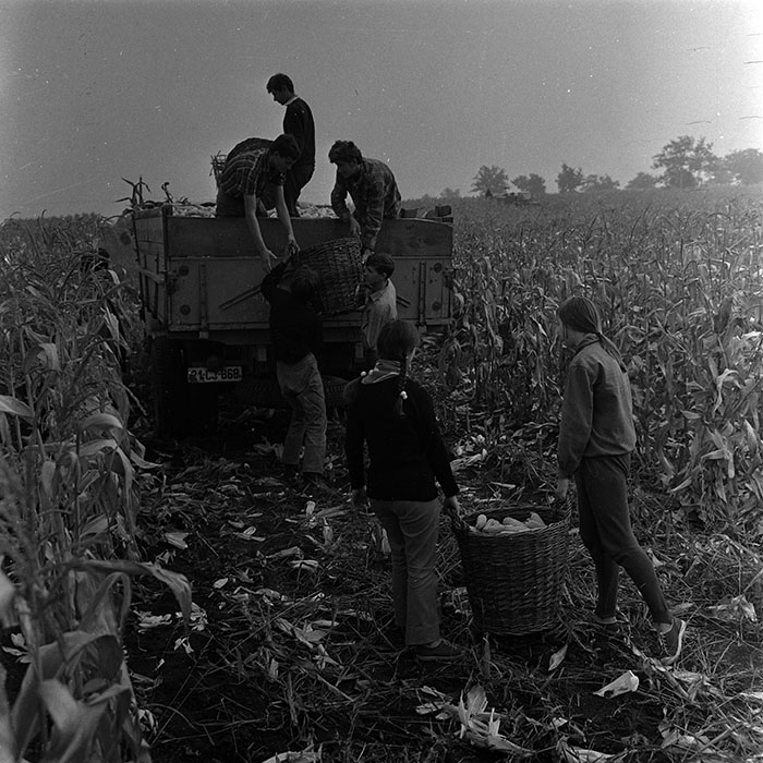 minerva_1967-1973_c4r2_039