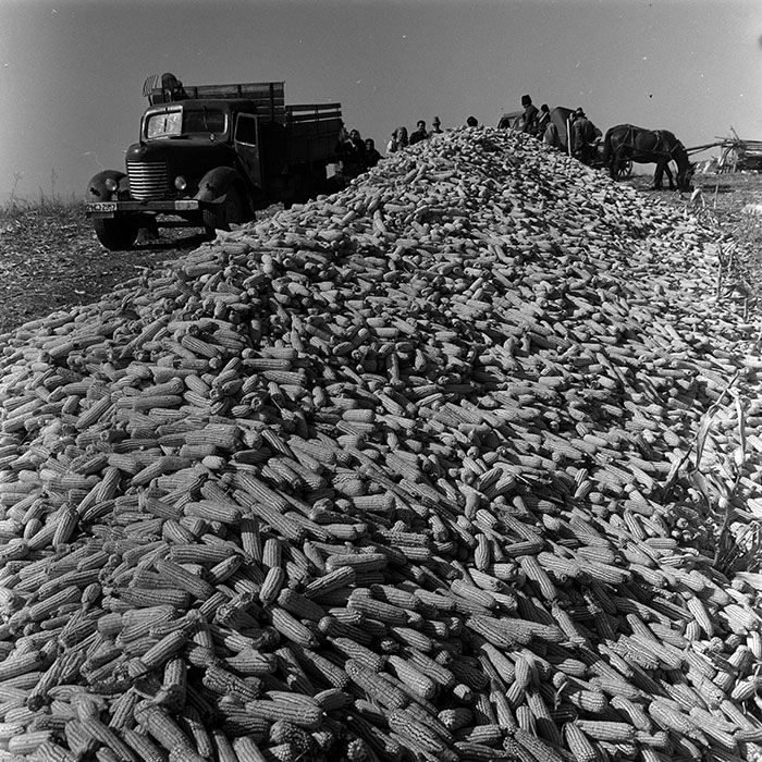 minerva_1967-1973_c4r2_042