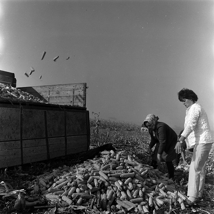 minerva_1967-1973_c4r2_043