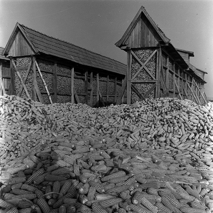 minerva_1967-1973_c4r2_044