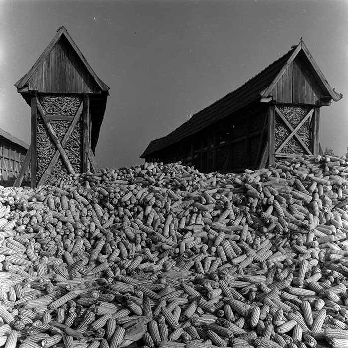 minerva_1967-1973_c4r2_045