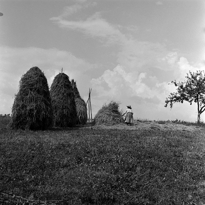 minerva_1967-1973_c4r4_006