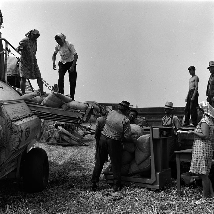 minerva_1967-1973_c4r5_007