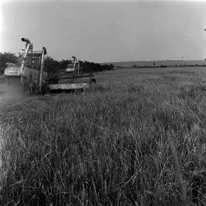 minerva_1967-1973_c4r5_013