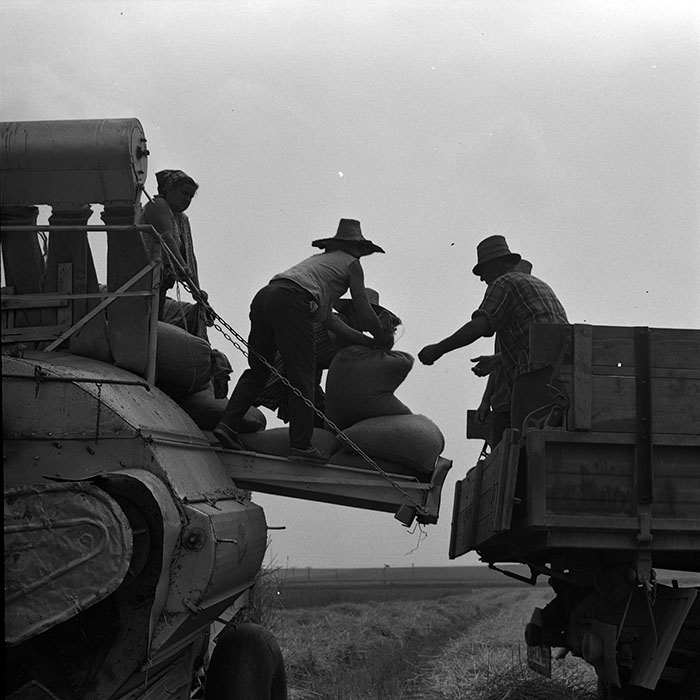 minerva_1967-1973_c4r6_016