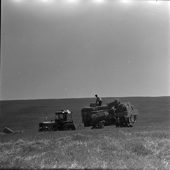 minerva_1967-1973_c4r8_012