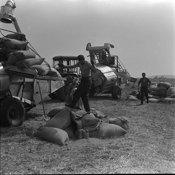 minerva_1967-1973_c4r8_020