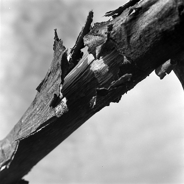 minerva_1967-1973_c5r10_002