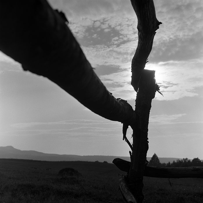 minerva_1967-1973_c5r10_005