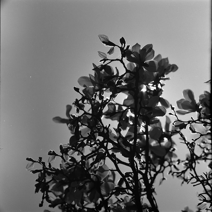 minerva_1967-1973_c5r11_003