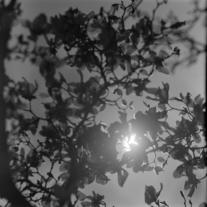 minerva_1967-1973_c5r11_004