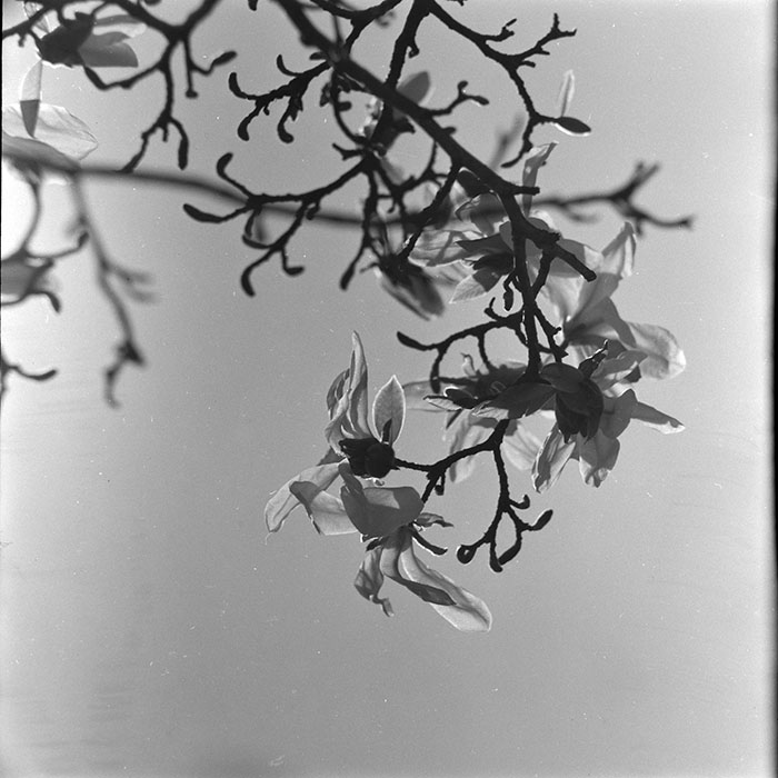 minerva_1967-1973_c5r11_005