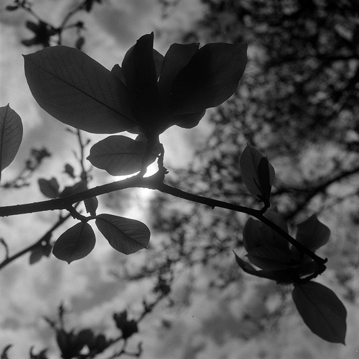 minerva_1967-1973_c5r11_007