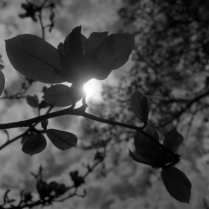 minerva_1967-1973_c5r11_012