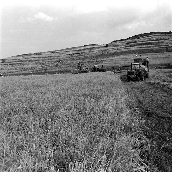 minerva_1967-1973_c5r13_001