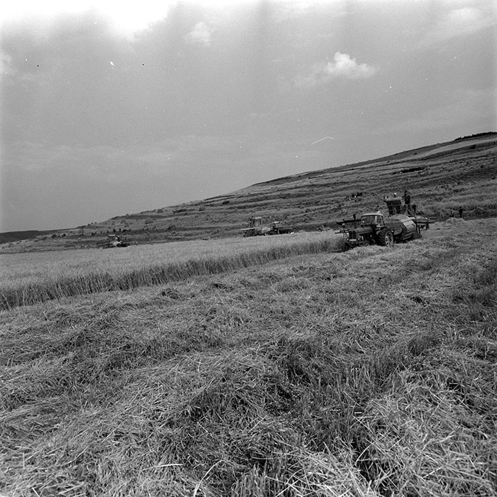 minerva_1967-1973_c5r13_003