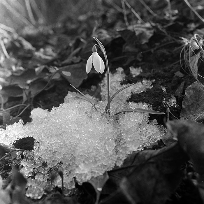 minerva_1967-1973_c5r14_004