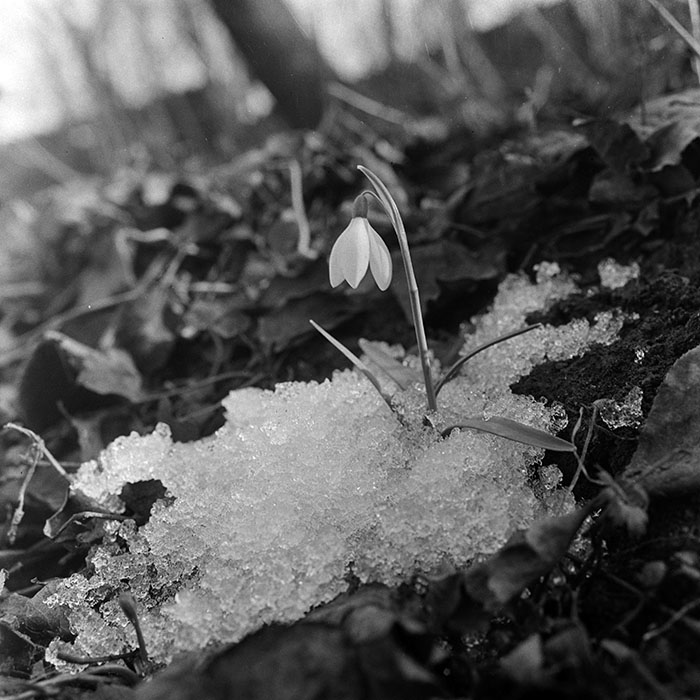 minerva_1967-1973_c5r14_005