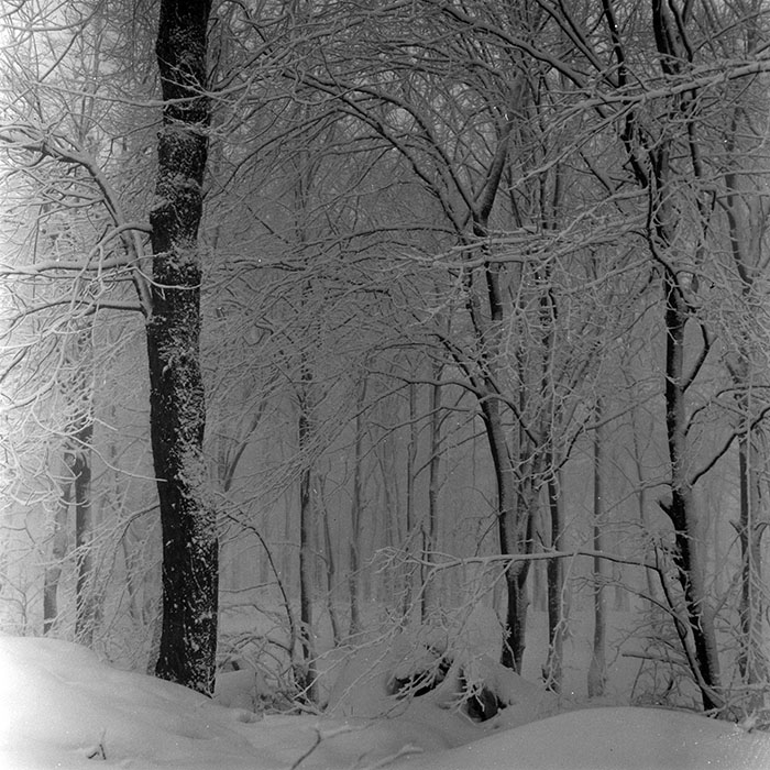 minerva_1967-1973_c5r14_006