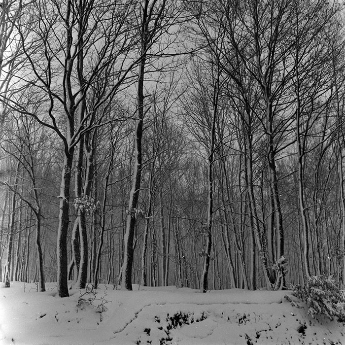 minerva_1967-1973_c5r14_007