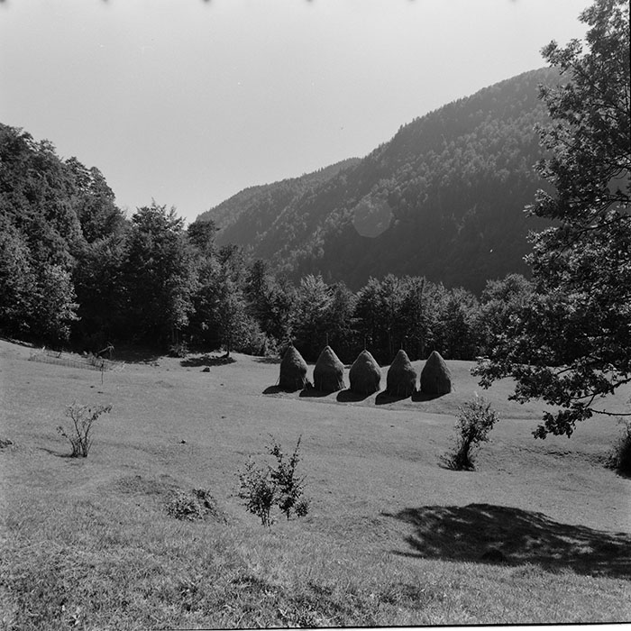 minerva_1967-1973_c5r16_001