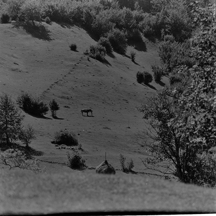 minerva_1967-1973_c5r16_002