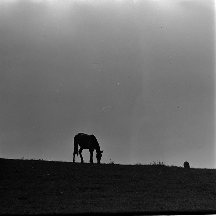 minerva_1967-1973_c5r16_004