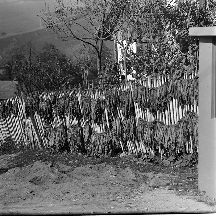 minerva_1967-1973_c5r16_005