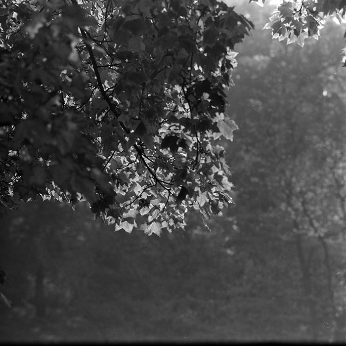 minerva_1967-1973_c5r16_006