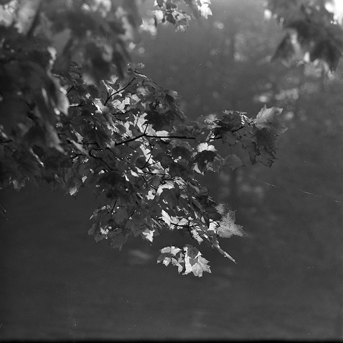 minerva_1967-1973_c5r16_007