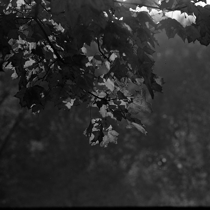 minerva_1967-1973_c5r16_008