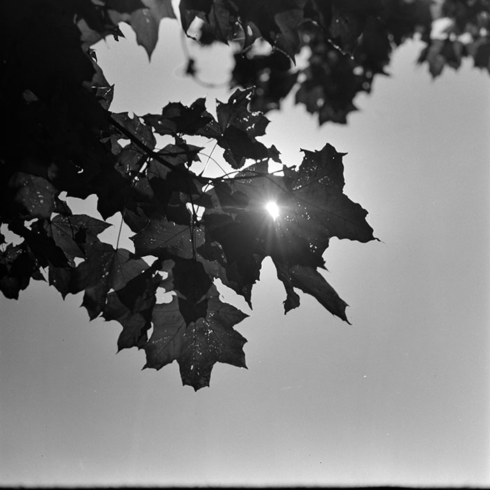 minerva_1967-1973_c5r16_010