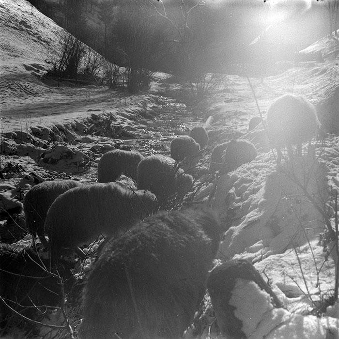 minerva_1967-1973_c5r17_012