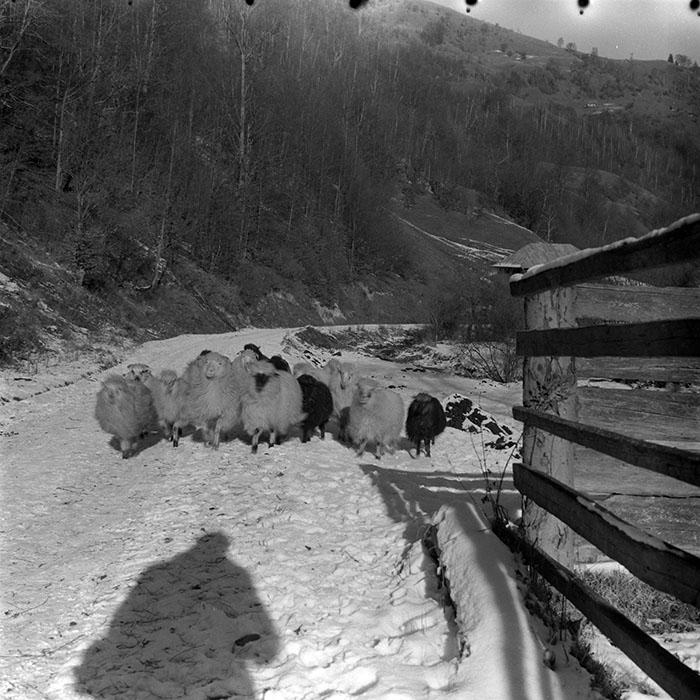 minerva_1967-1973_c5r17_014