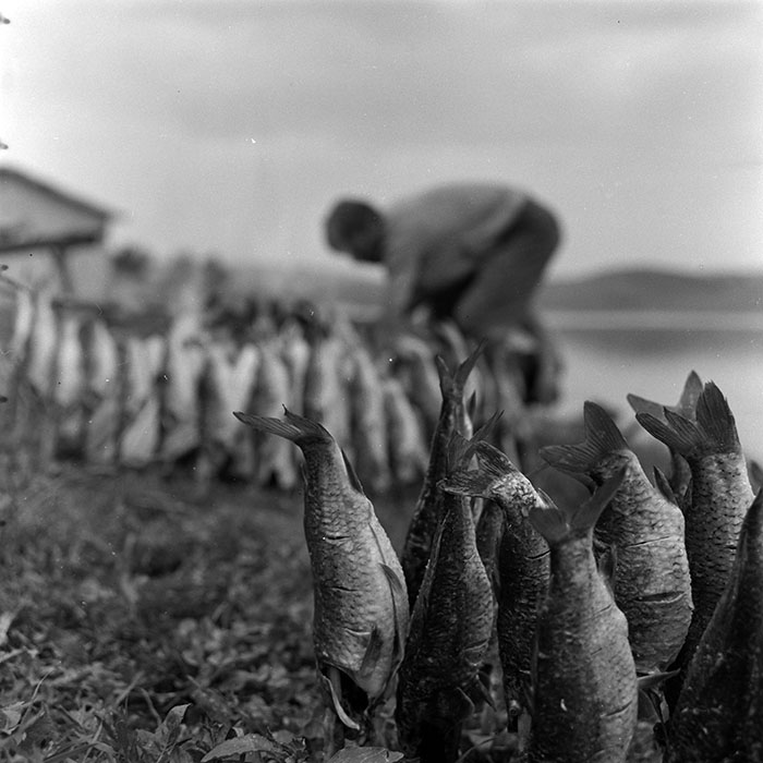 minerva_1967-1973_c5r18_009