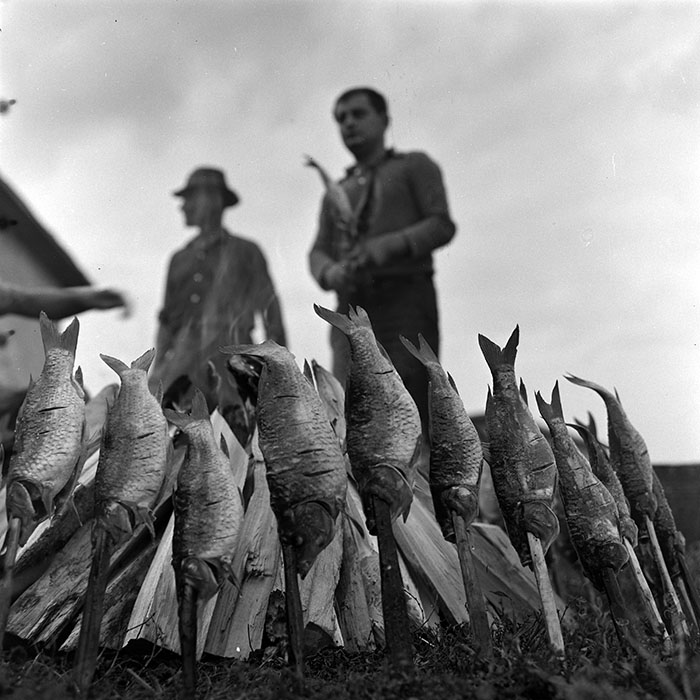 minerva_1967-1973_c5r18_011