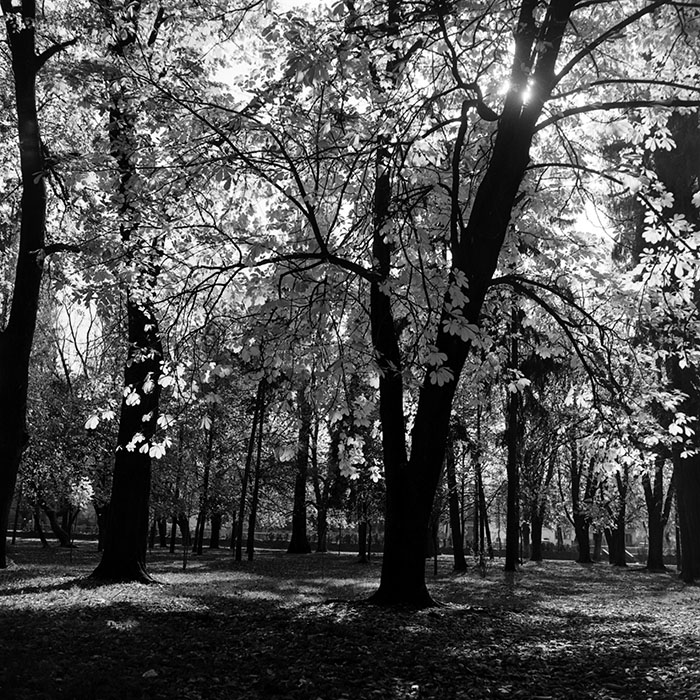 minerva_1967-1973_c5r1_001