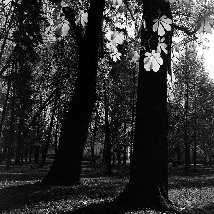 minerva_1967-1973_c5r1_005