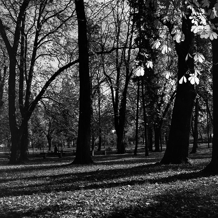 minerva_1967-1973_c5r1_006