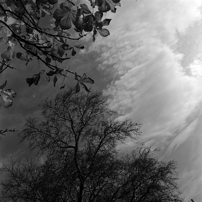 minerva_1967-1973_c5r1_011