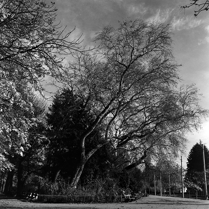 minerva_1967-1973_c5r1_012