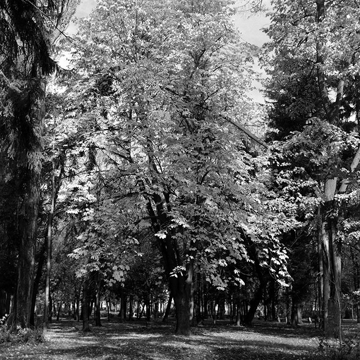 minerva_1967-1973_c5r1_015