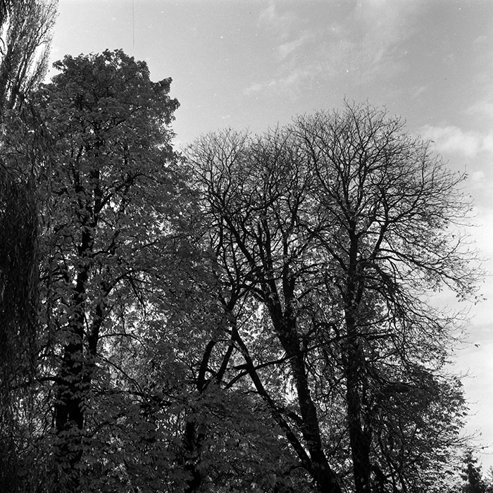 minerva_1967-1973_c5r1_016