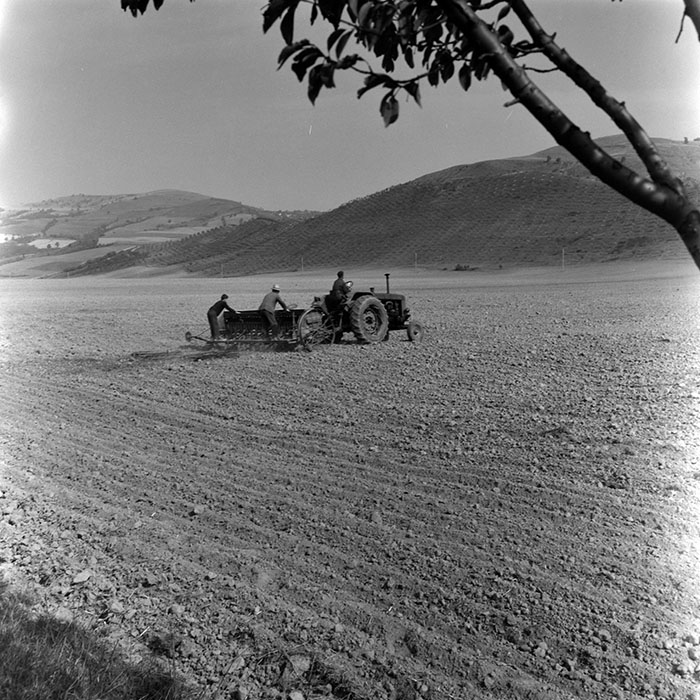 minerva_1967-1973_c5r21_003