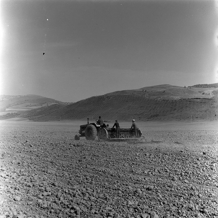 minerva_1967-1973_c5r21_009