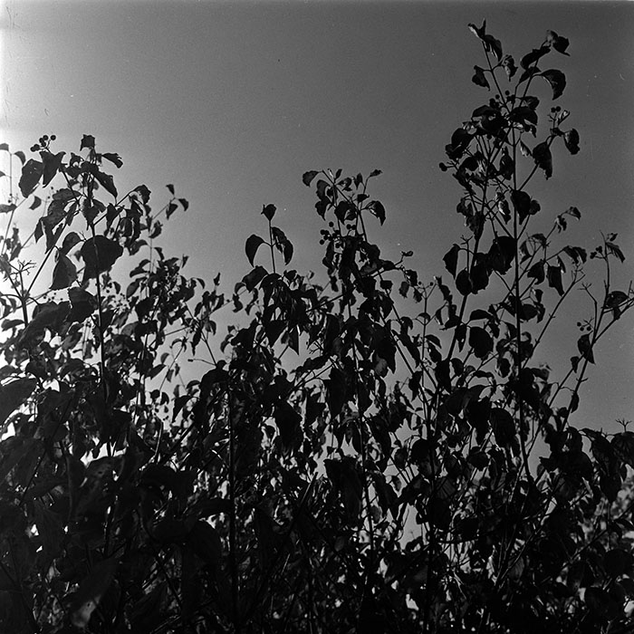 minerva_1967-1973_c5r2_004