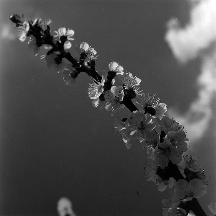 minerva_1967-1973_c5r3_004