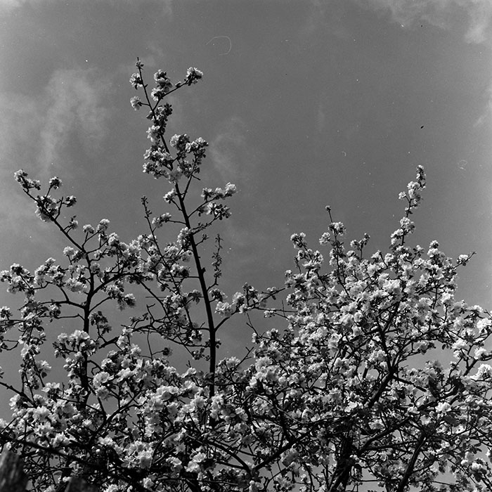 minerva_1967-1973_c5r3_007