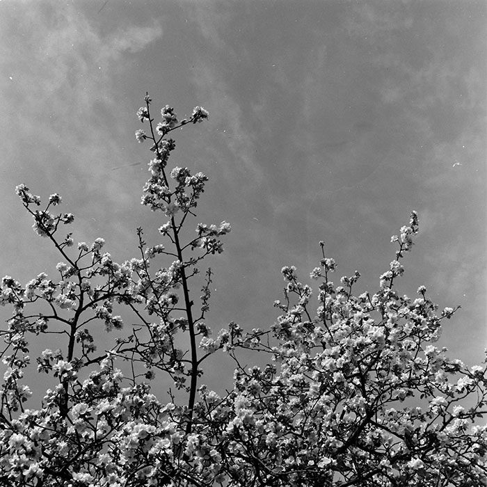 minerva_1967-1973_c5r3_009