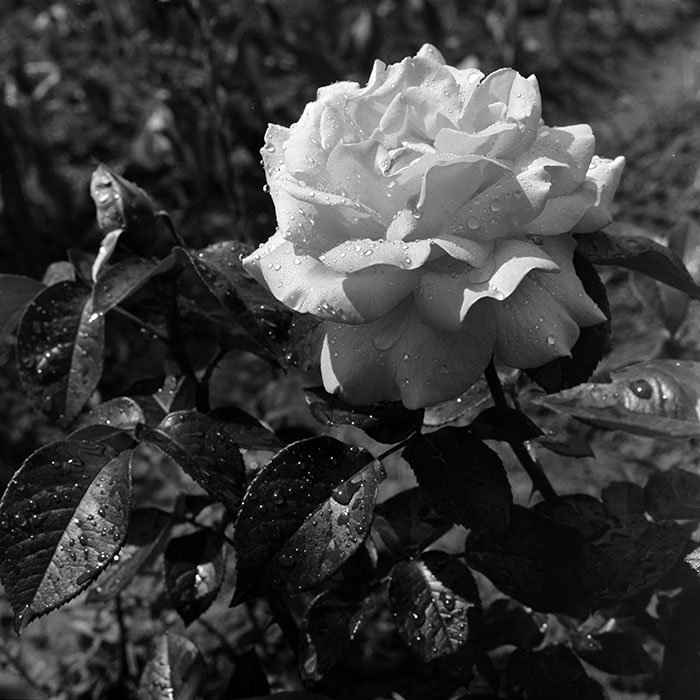 minerva_1967-1973_c5r3_013